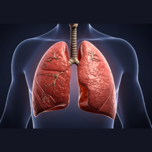 LUNGS